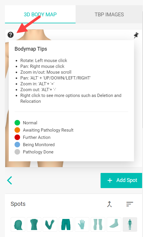 How do bodies map out left and right?