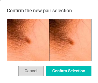 4._Confirm_Pair_Selection