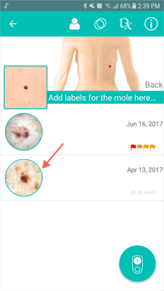 4._Select_a_mole